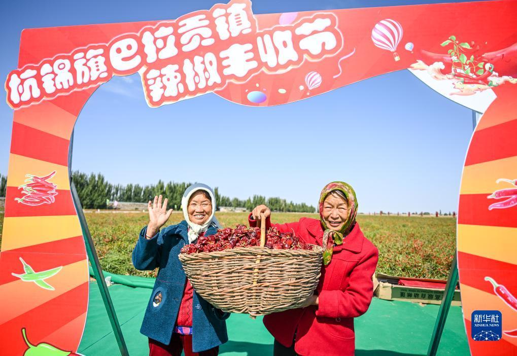 bg博冠登录